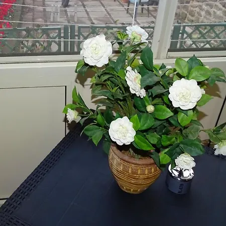 Bed & Breakfast Nonna Peppa - Sorrento